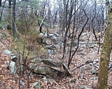 capeann41.jpg