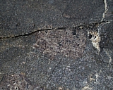 capeann47.jpg
