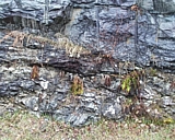 vermont03.jpg
