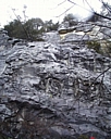 vermont09.jpg
