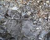 vermont10.jpg
