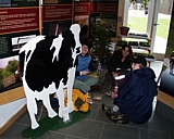 vermont15.jpg