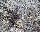 vermont46.jpg