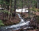vermont56.jpg