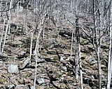 vermont78.jpg