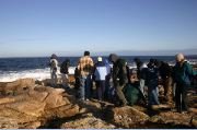 Cape Ann 2004 - 43