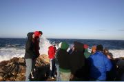 Cape Ann 2004 - 58