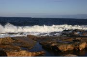 Cape Ann 2004 - 45