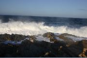 Cape Ann 2004 - 50