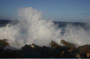 Cape Ann 2004 - 51