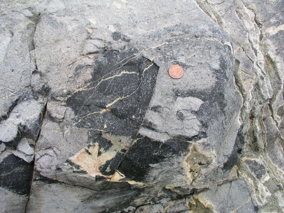 P1010075.JPG