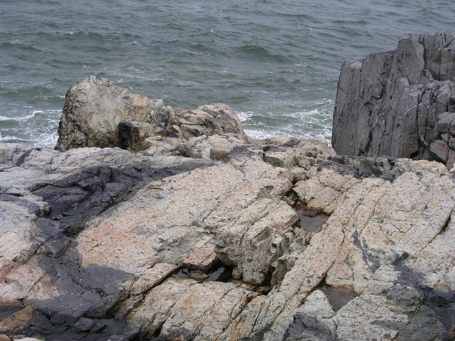 P1010079.JPG