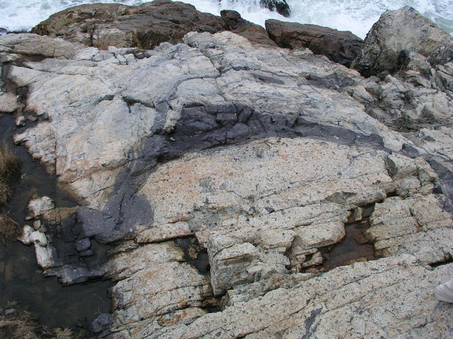 P1010081.JPG