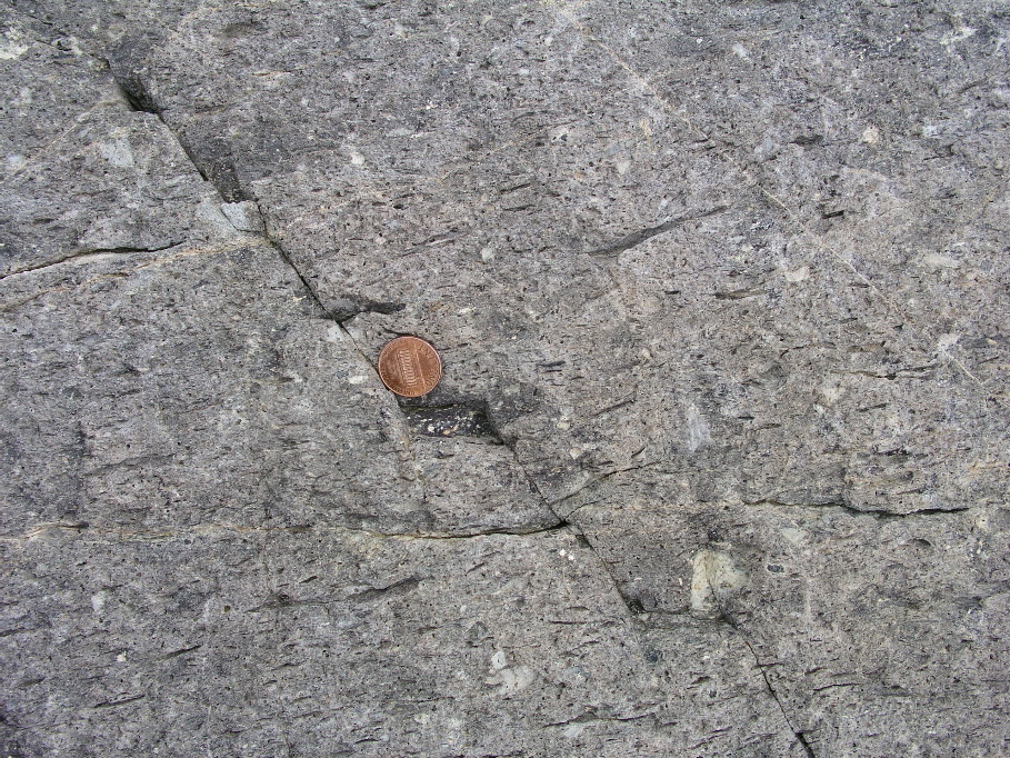 P1010083.JPG