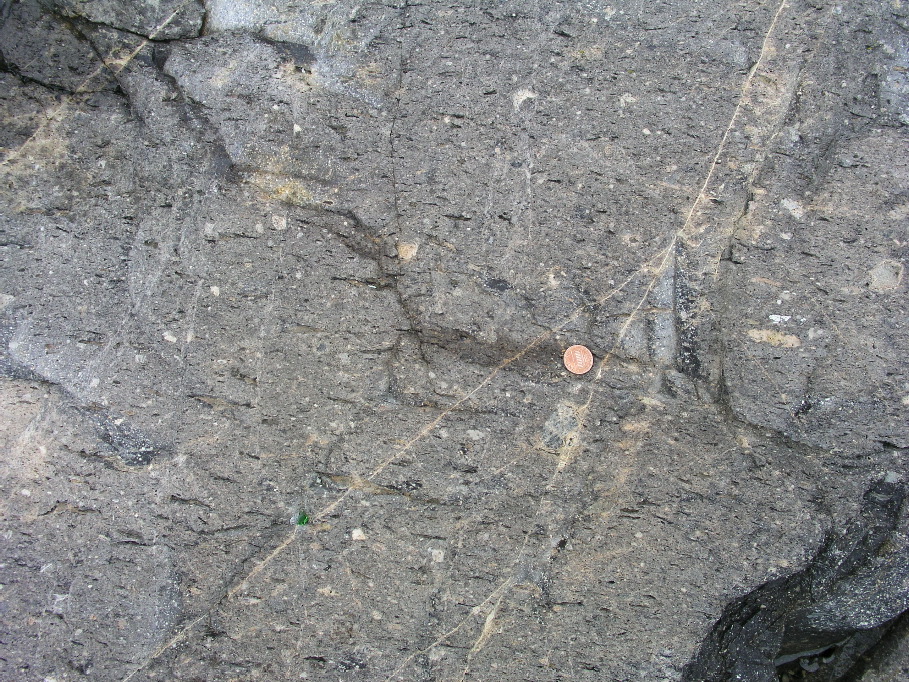P1010084.JPG