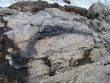 P1010081.JPG