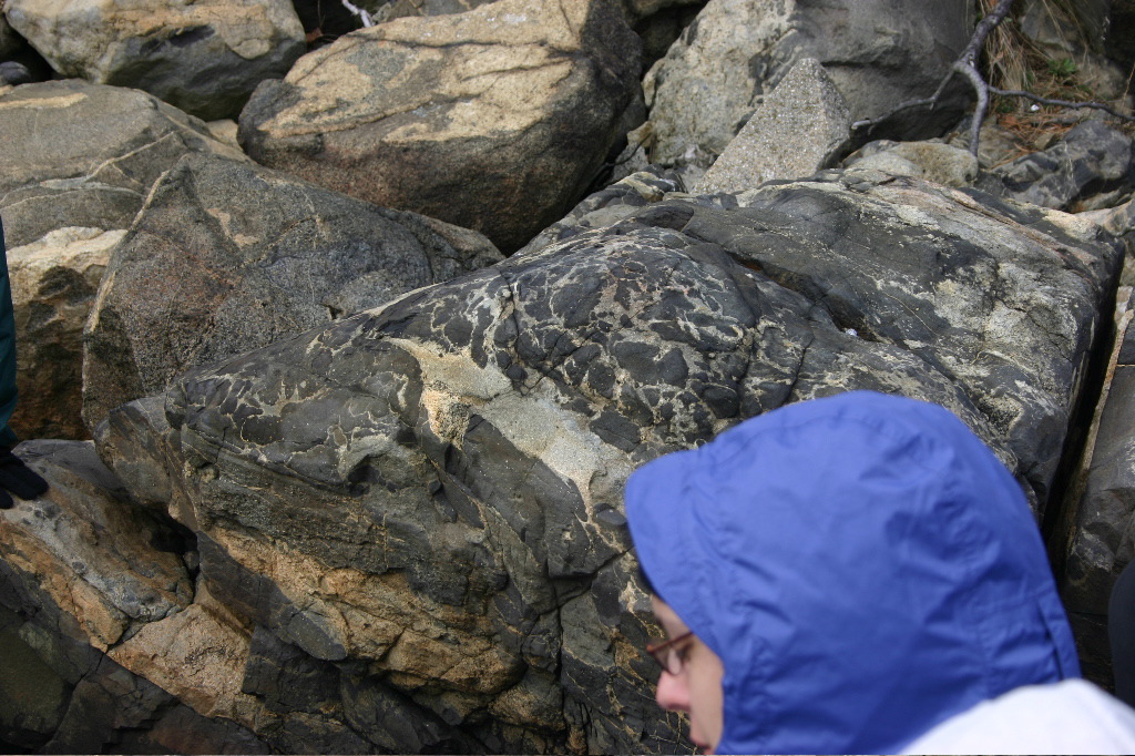Cape Ann 2004 - 28