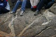 Cape Ann 2004 - 20
