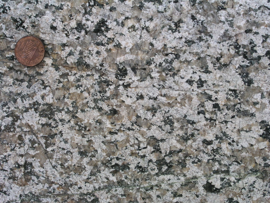 P1010063.JPG