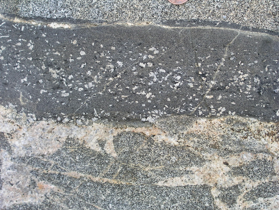 P1010099.JPG