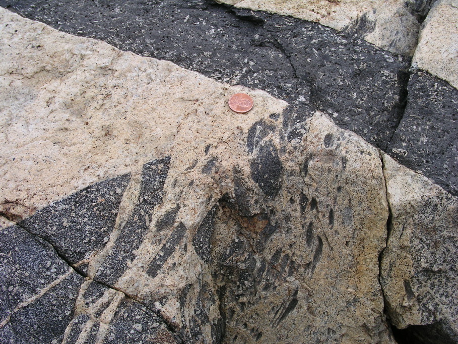 P1010104.JPG