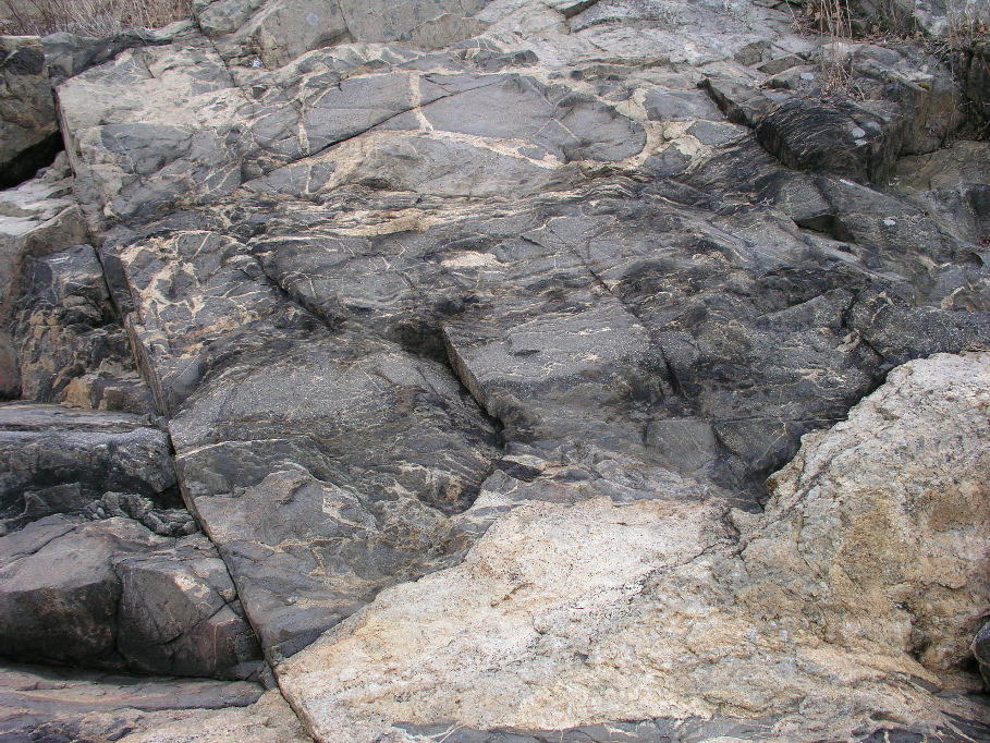 P1010095.JPG