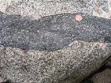 P1010103.JPG
