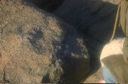Cape Ann 2004 - 61