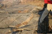 Cape Ann 2004 - 69