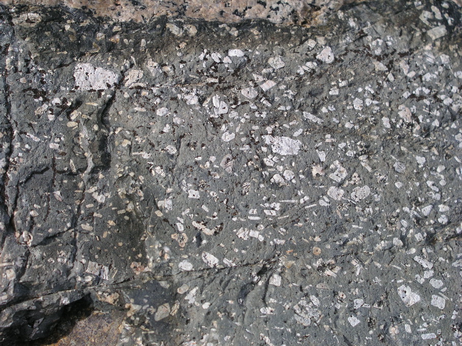 P1010133.JPG