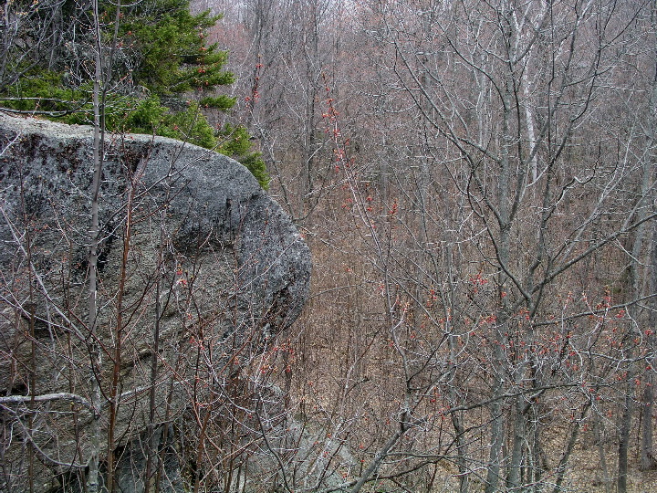 P1010132.JPG