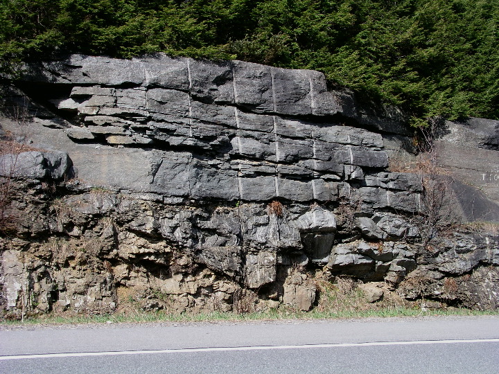 P1010011.JPG