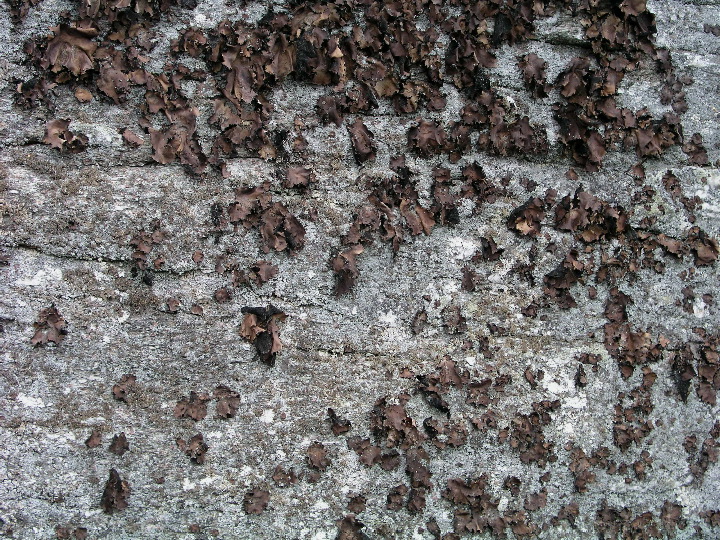 P1010134.JPG