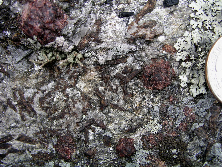 P1010131.JPG