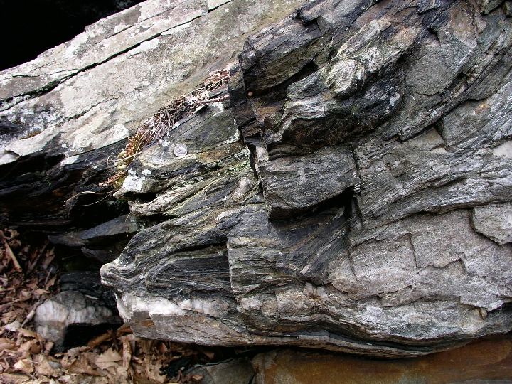 P1010142.JPG