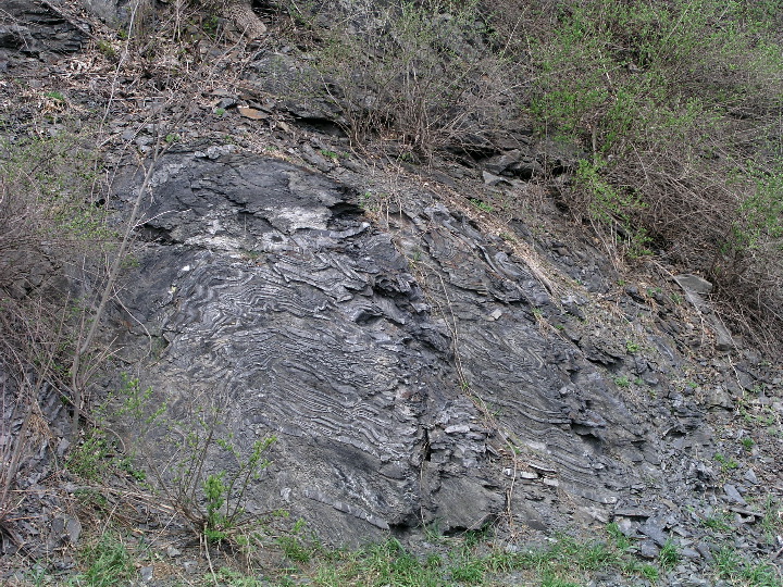 P1010035.JPG