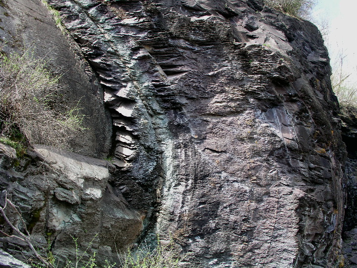P1010044.JPG