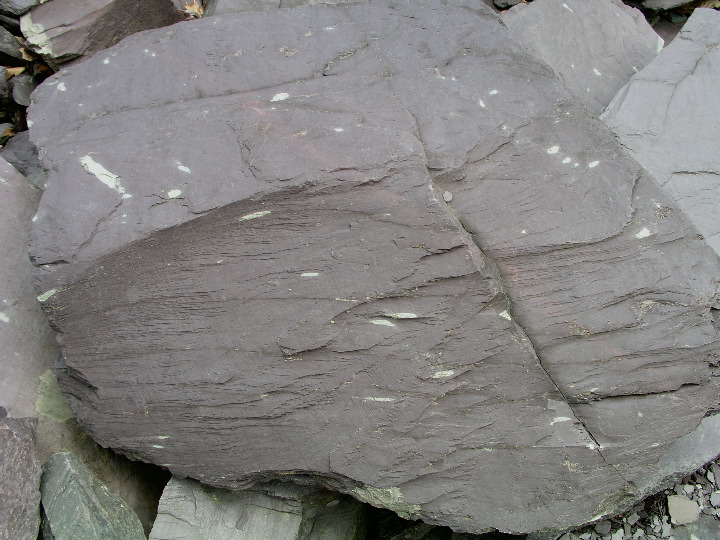 P1010048.JPG