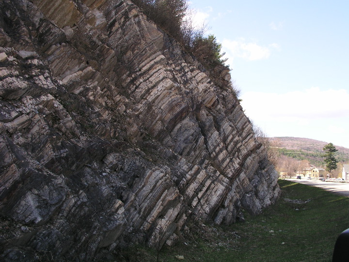 P1010050.JPG