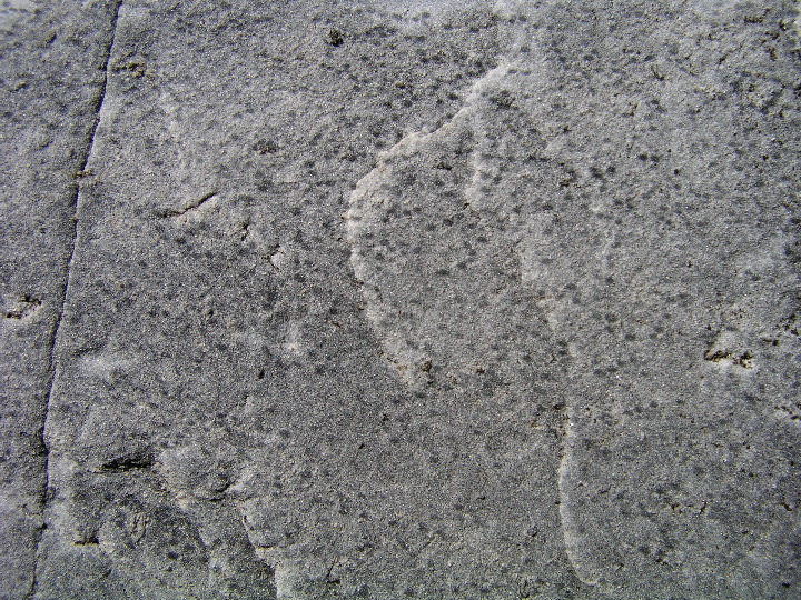 P1010054.JPG