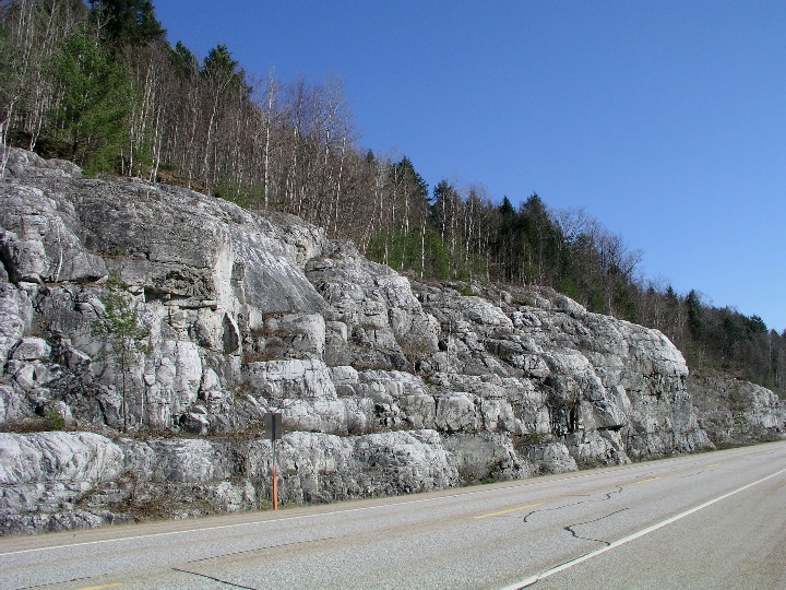P1010062.JPG