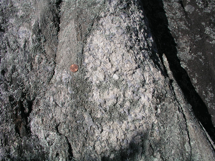 P1010068.JPG