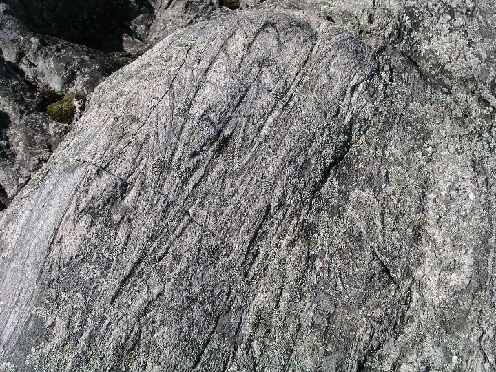P1010069.JPG