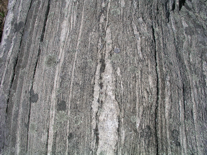 P1010072.JPG