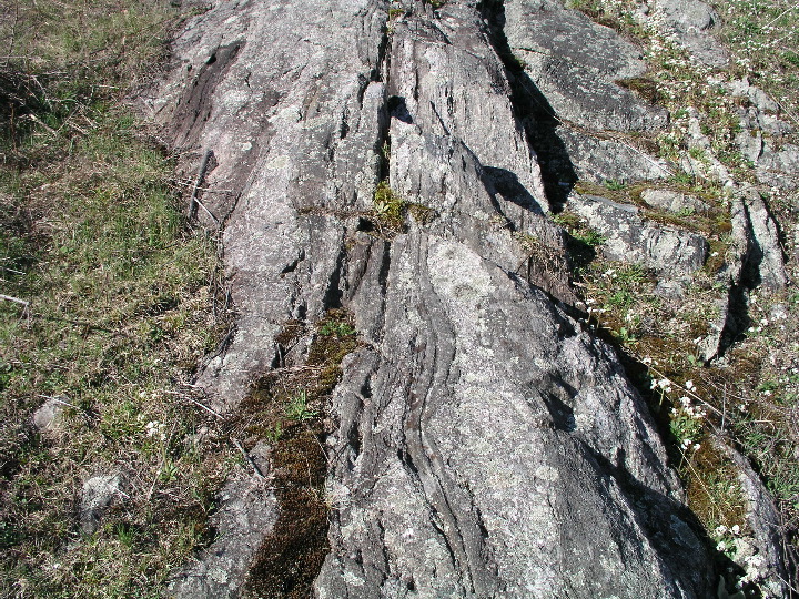 P1010073.JPG
