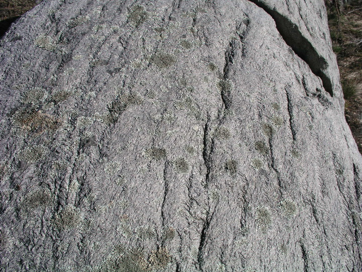 P1010075.JPG