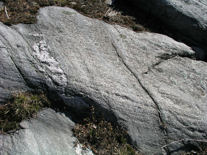 P1010076.JPG