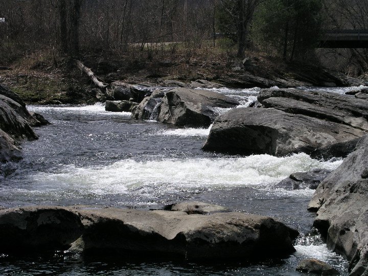 P1010110.JPG