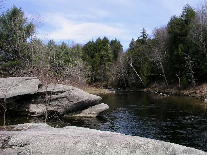 P1010111.JPG