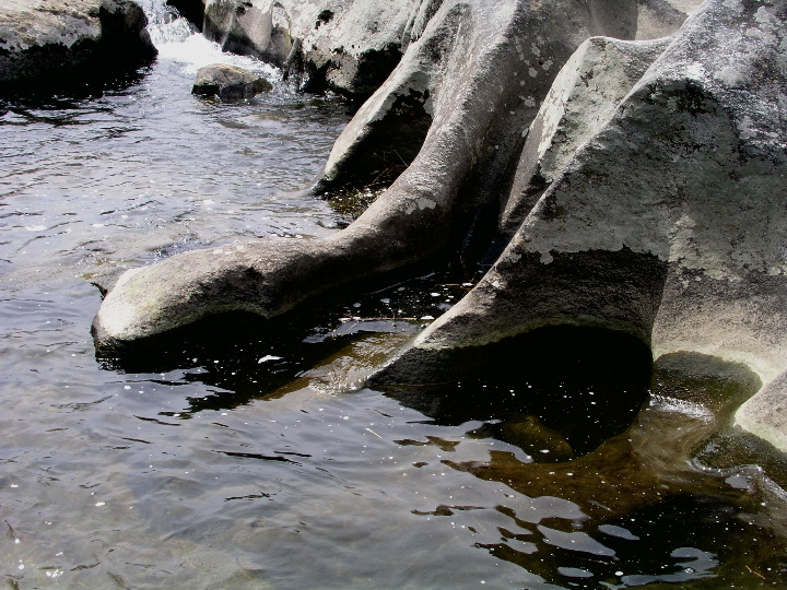 P1010115.JPG